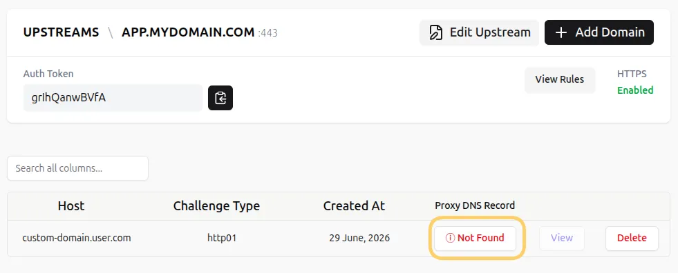 DNS Not Found